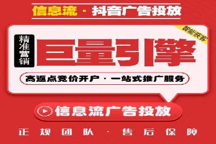 专业SEM服务公司案例分析报告